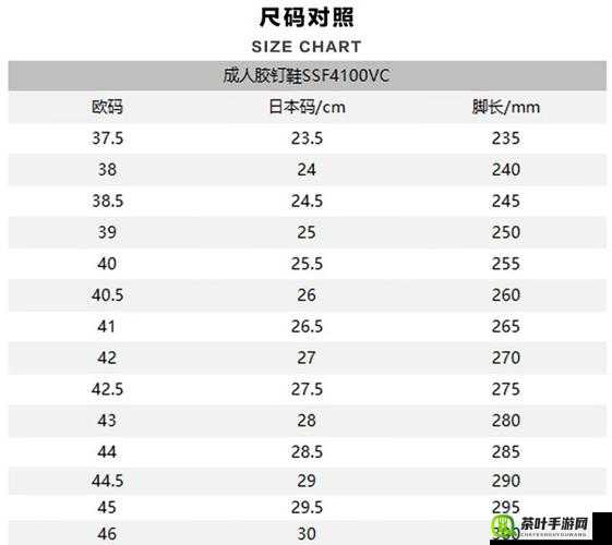 欧洲尺码日本尺码专线特点与差异全解析