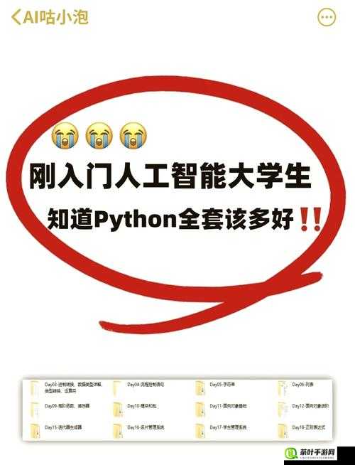 神秘的 Python 人马兽：奇幻与科技的奇妙融合