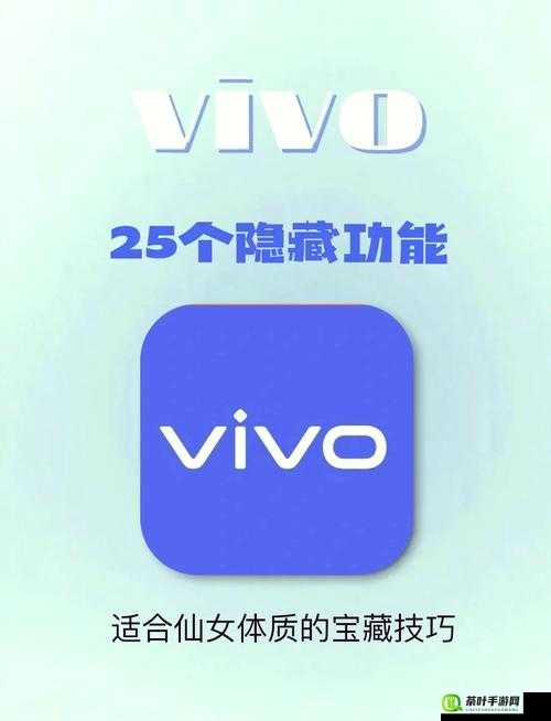 App303 免费 Vivo 版大全装扮免费：精彩无限等你体验